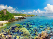 什么是化工泵？